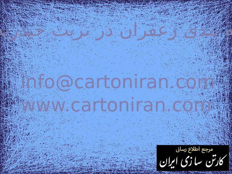 کارخانه بسته بندی زعفران در تربت حیدریه